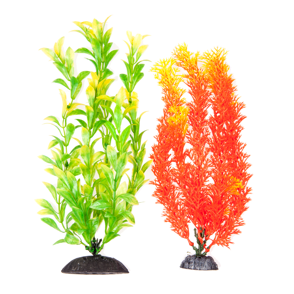 置物 PLANT BIOTOPE Biotope aquarium