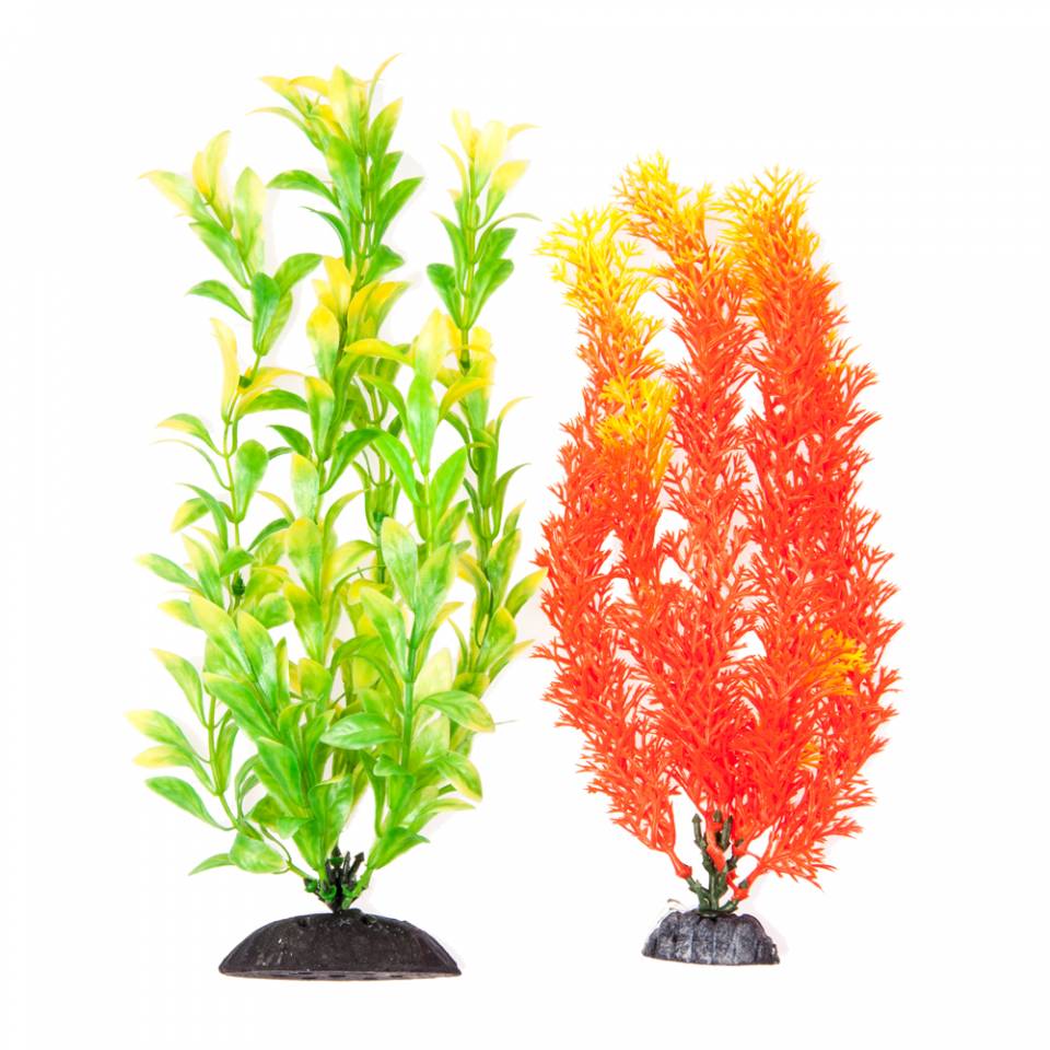 AQUATOP PD-BH66 10 Inch 2-Pack Multi-colored Orange and Green with  Highlights Plant Decor