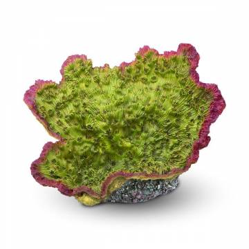 AQUATOP CD-04GRM Green and Purple Aquarium Coral Decor