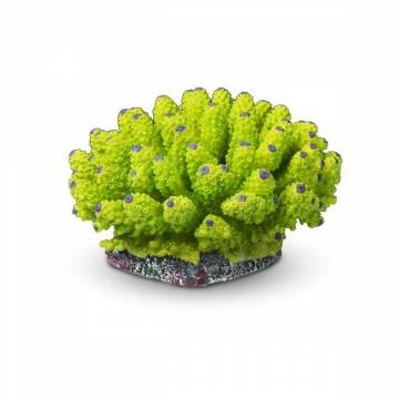 AQUATOP CD-06GPA Green and Purple Aquarium Coral Decor