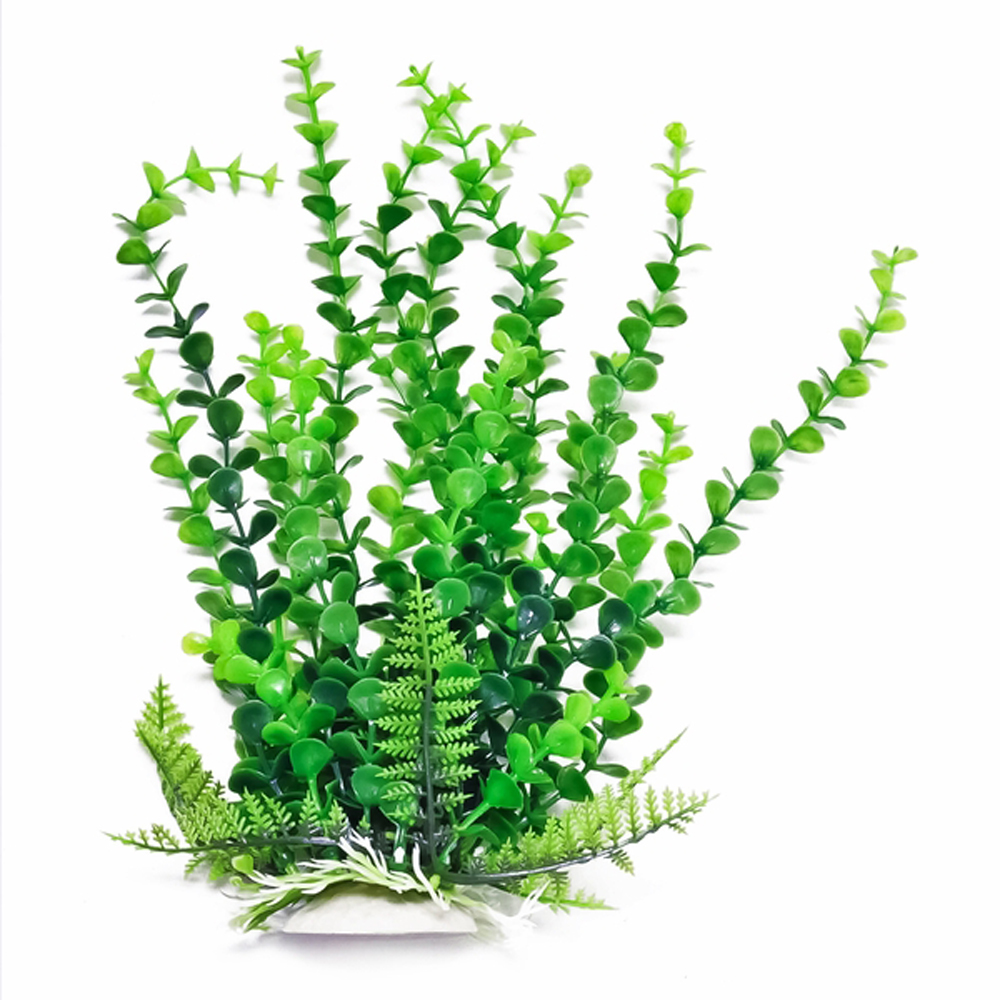 6" - 20" Green Bacopa-like Aquarium Plant | Aquatop