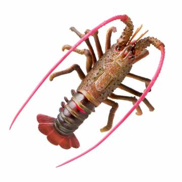 AQUATOP SD-LBSTRRD 4 Inch Red Spiny Lobster Decor