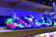 AQUATOP 12-Gal High Clarity Tall Glass Aquarium Bookshelf Style - 9.5" x 35.4" x 8.25", HCA-12G
