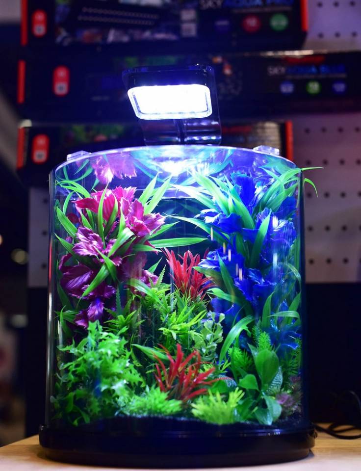 Biota Aquarium pour 3000L 22,50 €