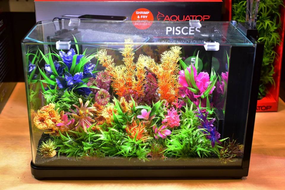 PISCES Gallon Modern Bullet Shaped Glass Aquarium Kit Aquatop