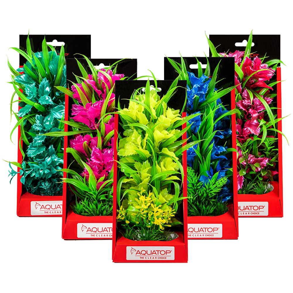 10 Inch Vibrant Passion Plant Optional Colors | Aquatop