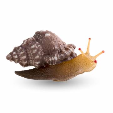 AQUATOP SD-SNAIL 3.5 Inch Snail Decor
