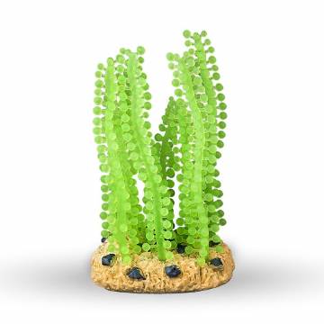 AQUATOP SD-SGC 6 Inch Sea Grape Coral Decor
