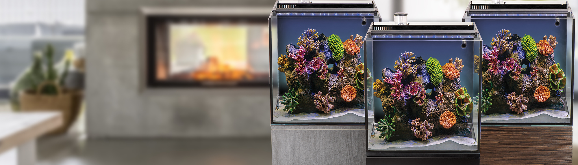 Fish Tanks