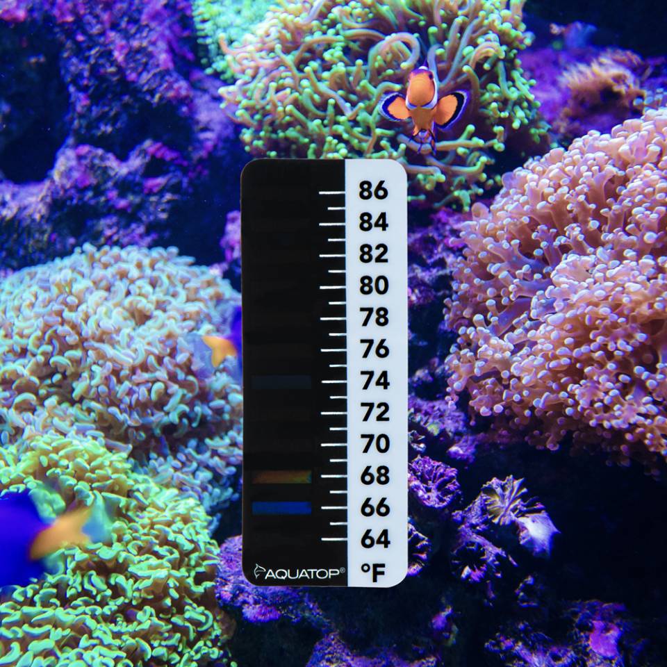 LCD Digital Adhesive Thermometer Strip – Stick-On For Aquarium, Fish Tank, Window