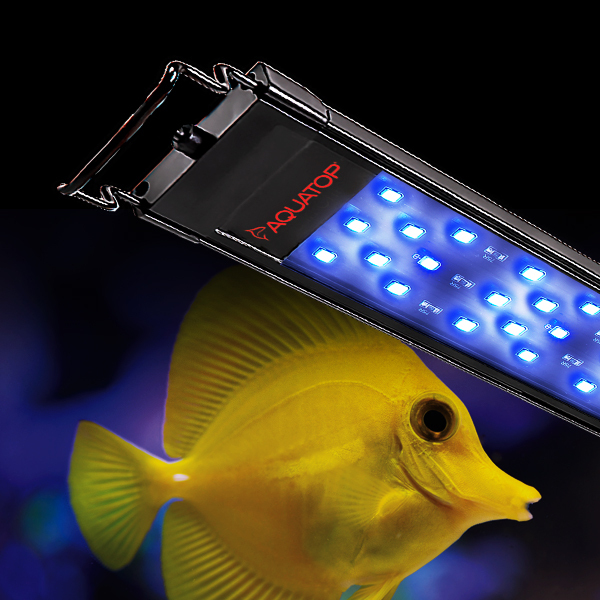 SkyAqua Marine LED