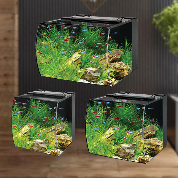 Recife ECO 40 Gallon Tank Black Stand Combo