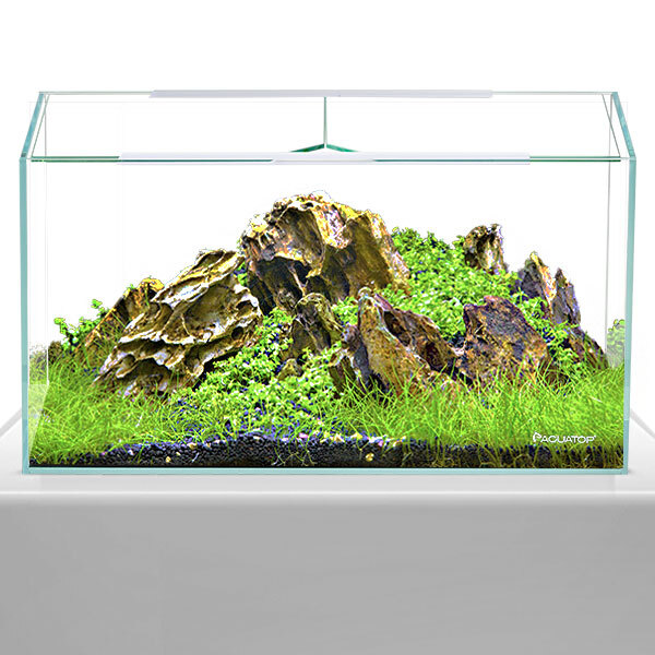 High Clarity Rimless Tanks