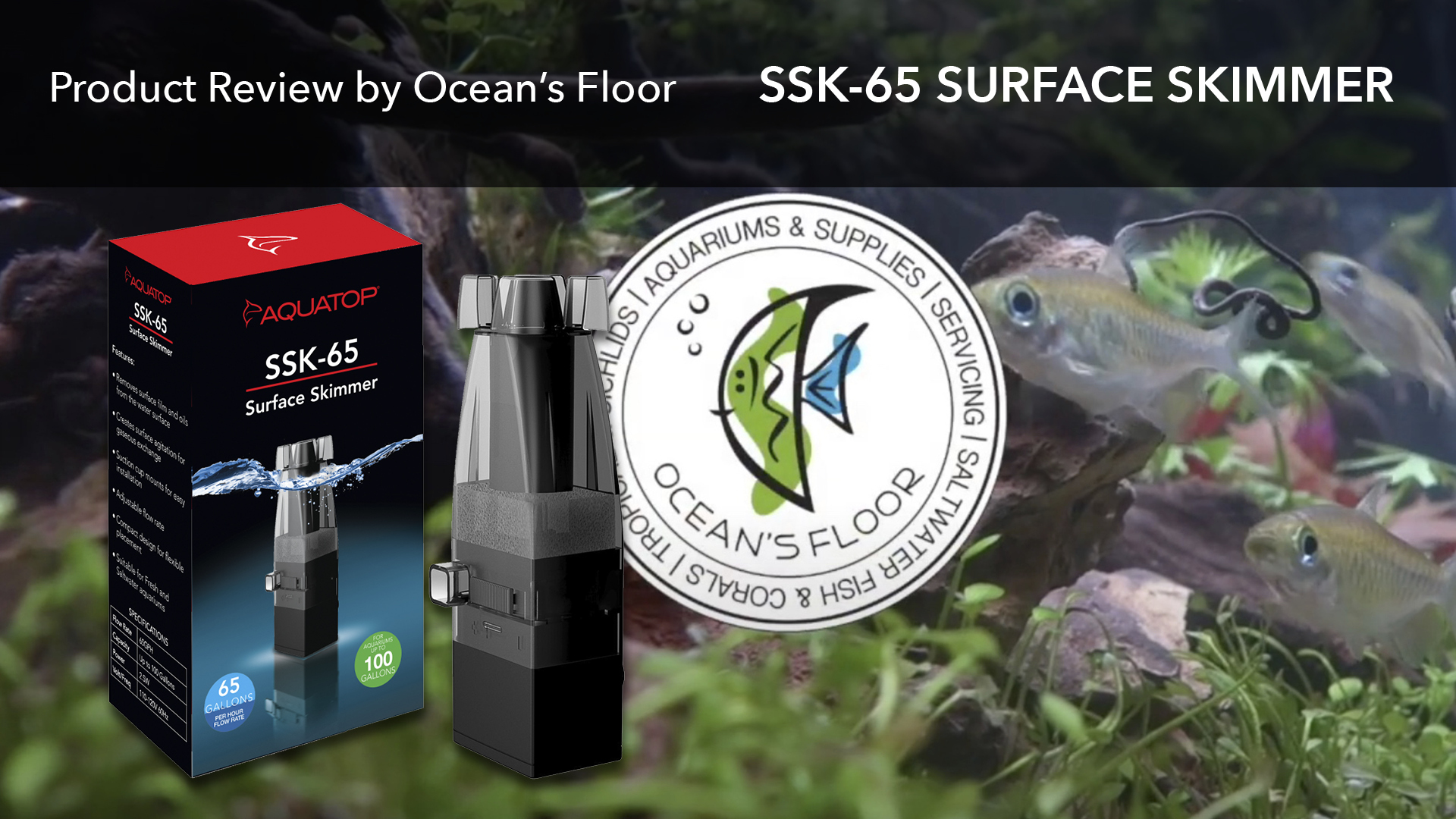 Aquatop SSK-65 Surface Skimmer Review